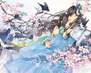 spa全身按摩视频